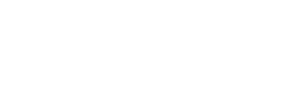 Mint Media